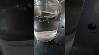 Reaction of Magnesium with Water   Magnesium Reacts with Hot Water [upl. by Ogires]