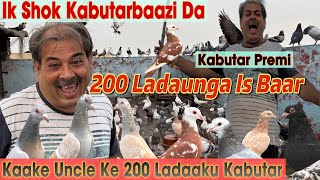 😳Kaake Uncle ke 200 Ladaaku Kabutaro ka Shok  Tabaahi kabutar h inke pass rohtakkabutarbaazi bird [upl. by Suiravat163]