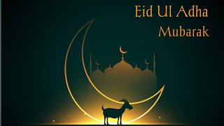 Eid ul Adha Mubarak Status Video 2023  Eid ul Adha wishes 2023  Bakra Eid Mubarak Status [upl. by Angeline]