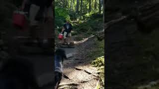 stairs down to halfway hot springs Nakusp BC [upl. by Frankel980]