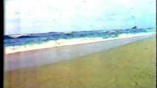 Interlink Resort Batangas Classic Philippine TVC [upl. by Noteek]