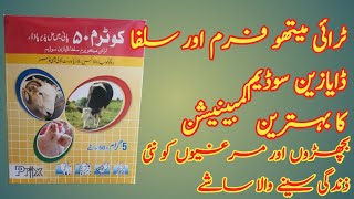 Cotrim 50 sachet use in Claves goat kids and birds [upl. by Eciryt]