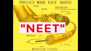 HUMAN MUSCLE TISSUE CARDIAC MUSCLE SMOOTH MUSCLE NERVOUS TISSUE MYELIN SHEATH MCQs FOR NEET 2 [upl. by Placidia681]