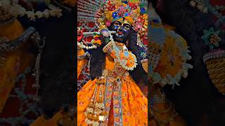 Swati Mishra Krishna Song l Suno Krishna Pyaare l Krishna Bhakti Songs l Jai Radhe Radhe Krishna l [upl. by Airoled]