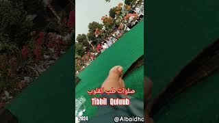 Sholawat Tibbil Quluub albaidho shrots santrikeren shortvideo viralreels [upl. by Amorita]