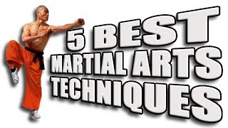 Top 5 Best Martial Arts Techniques [upl. by Selhorst]