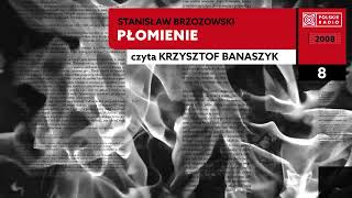 Płomienie czII 08  Stanisław Brzozowski  Audiobook po polsku [upl. by Lindy]