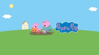 🔴 Giant Peppa Pig and George Pig LIVE FULL EPISODES 24 Hour Livestream [upl. by Fong]