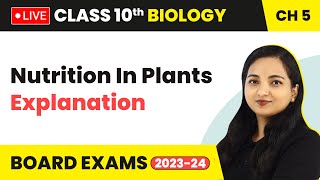 Life Processes Nutrition In Plants  Explanation  Class 10 Biology Chapter 5 LIVE [upl. by Ahsinat73]