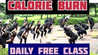 Calorie Burning Workout 🔥 [upl. by Angy]