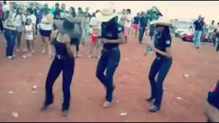 Country 💃 Forró Boys Sigam Meu instagram 👉 guilhermerochaaa se inscrevam nesse canal pra  video [upl. by Eetsirk]