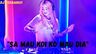 Dj Viral Sa Mau Koi Ko Mau Dia Tojana Rizal Ali Remix 2020 [upl. by Anjali]