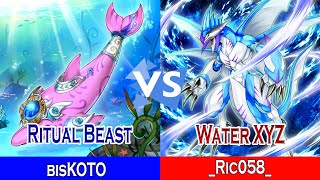 Ritual Beast Vs Water XYZ  bisKOTO Vs Ric058  High Rated  Dueling Book [upl. by Schnur]