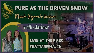 Pure as the Driven Snow Maiah Wynnes Version feat Michaela Armus on Clarinet  Live at The Pines [upl. by Ennaul]