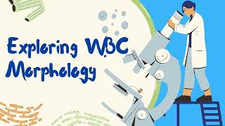 Exploring Haematology Morphology  White blood cells Leukocytes introduction [upl. by Helbonnas]