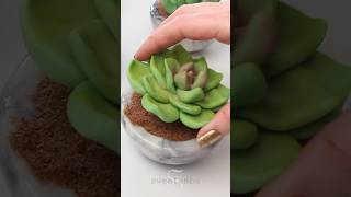 I made succulent cakes for April Fool’s Day [upl. by Averyl]