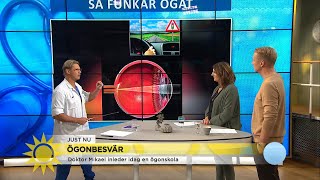 Vet du hur ögat fungerar Dr Mikael ger grundkurs  Nyhetsmorgon TV4 [upl. by Macswan]