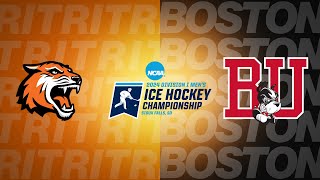 Mens Hockey Tigers Head To NCAA Tournament [upl. by Aneekan251]