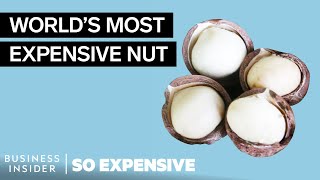 Why Macadamia Nuts Are So Expensive  So Expensive [upl. by Kimitri]