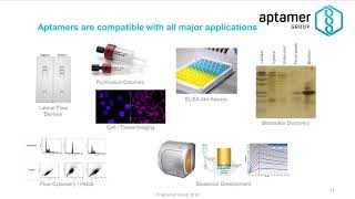 What do aptamers do [upl. by Jerald280]