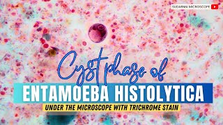 Cyst phase of Entamoeba histolytica under the microscope with Trichrome stain [upl. by Almira688]