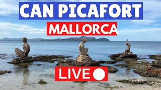 🔴 Live Can Picafort Mallorca Majorca  1 May 2022 [upl. by Bunting947]