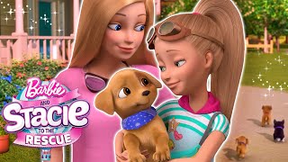 Barbie amp Stacie meet NEW PUPPIES  Netflix Movie Clip  Barbie amp Stacie To The Rescue [upl. by Edas]