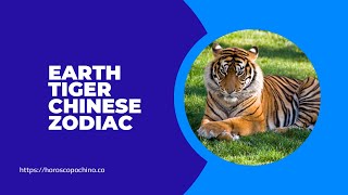 Earth tiger chinese zodiac [upl. by Marinelli]