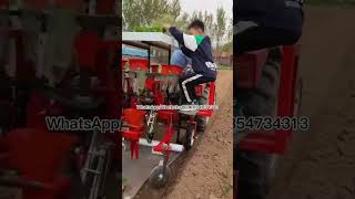 Vegetable seedling planting machine Fruit seedling transplanting machine [upl. by Ayyn]