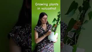 Growing plants in vulcastrat [upl. by Atined]