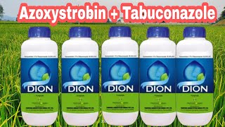 Dion fungicide ।azoxystrobin  Tabuconazole use।।use। price। Dose। [upl. by Emixam]