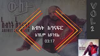 አብነት አጎናፍር  አንዱም አይጉደል  Abinet Agonafir Andum Ayigudel [upl. by Llednahc361]