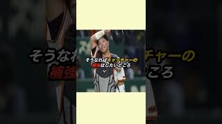 阪神タイガース FA補強 ウィークポイントにぴったりなあの選手 プロ野球 [upl. by Lowis643]