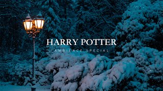 WINTER WITH HARRY POTTER AMBIENCE VIBES [upl. by Xymenes]