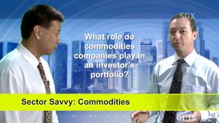 Sector Savvy  Commodities Episode 1 [upl. by Esiuqcaj]