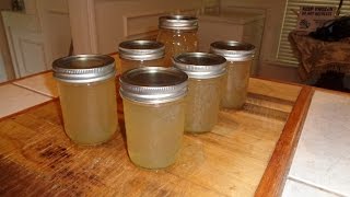 Scuppernongs  From Juice to Jelly [upl. by Vona]