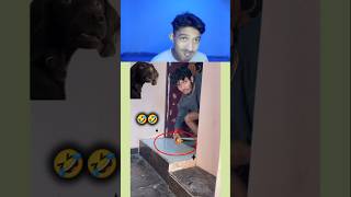 Try Not to Laugh Challenge 137🤣 funny shorts viral [upl. by Faires800]