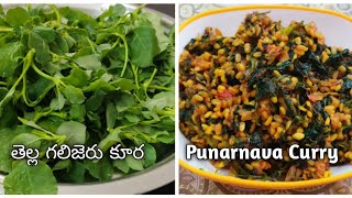 TELLA GALIGERU KURA PUNARNAVA CURRY In teluguఈ ఆకు కూర తింటే డయాబెటిస్ రాదు [upl. by Nimrak366]