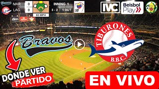 Bravos vs Tiburones EN VIVO donde ver y a que hora juega Bravos de Margarita vs Tiburones La Guaira [upl. by Newsom]