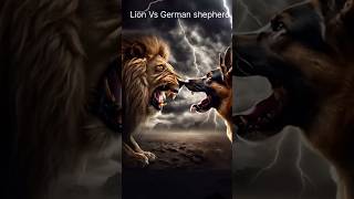 Lion Vs German shepherd Attitude  shortvideo viralvideo ai [upl. by Nohsar497]