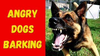 ANGRY DOGS BARKING To Make Your Dog Bark Sound Effects High Quality [upl. by Godred]