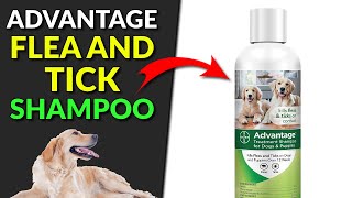 Advantage Flea and Tick Treatment Shampoo for Dogs and Puppies [upl. by Yerag682]