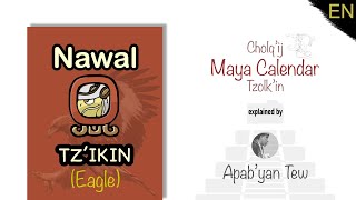 Maya Calendar nawal Tzikin Eagle Explained [upl. by Tita]