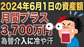 Fat FIRE実践中のおじさんが2024年6月1日時点の資産を公開します [upl. by Hines]