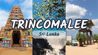 Exploring Trincomalee  Sri Lankas Hidden Gem  A Journey of Beaches History and Culture 🇱🇰 [upl. by Mussman436]