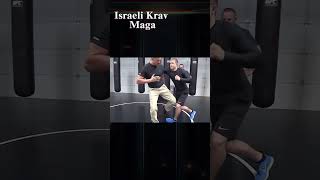 Israeli Krav Maga targets the bodys most vulnerable and painful points [upl. by Renrew338]