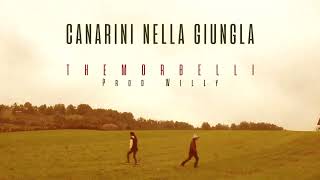 CANARINI NELLA GIUNGLA  THEMORBELLI  PRODWILLY [upl. by Dnomder]