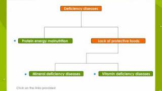 Deficiency Disease [upl. by Calendra]