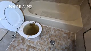 Clogged Drain 183 [upl. by Annoyik]