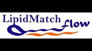 LipidMatch Flow V10 Tutorial 5 Stats in Metaboanalyst [upl. by Cadmar164]